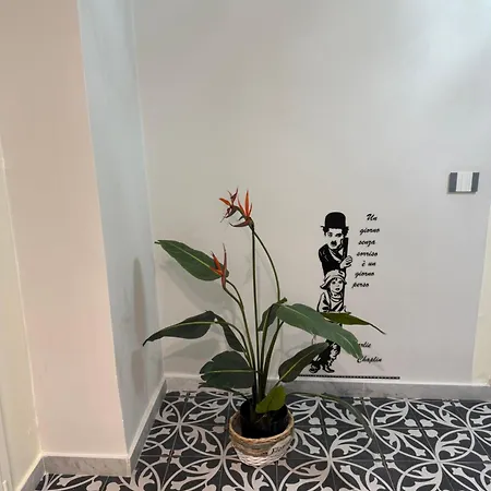 Elisir House *