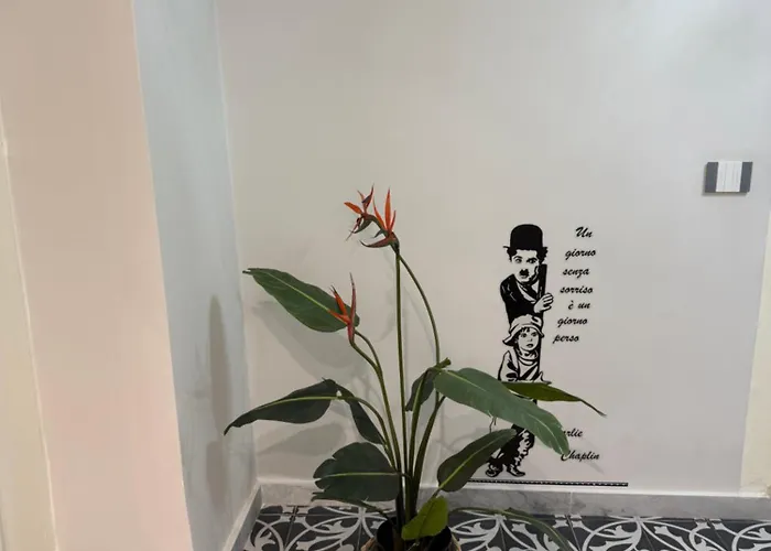 Elisir House *